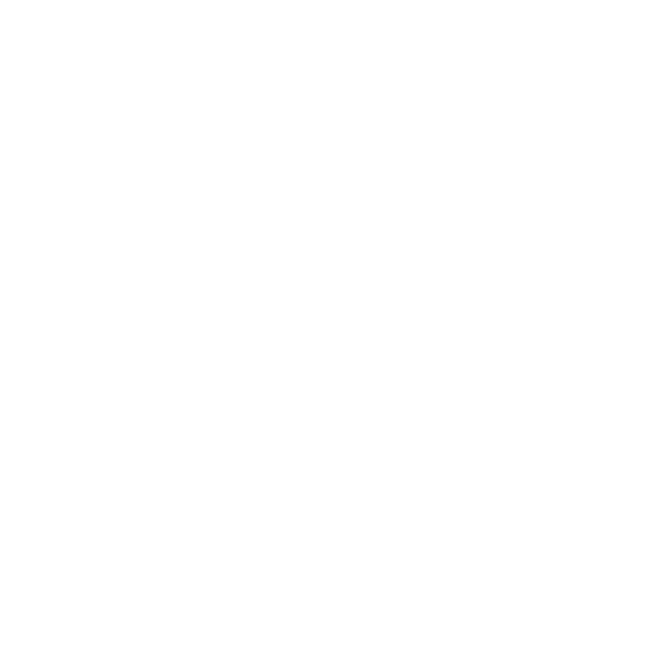 Liverpool Echo